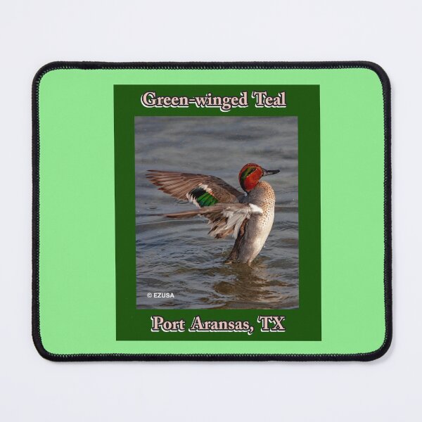 Item preview, Green-winged Teal, Leonabelle Turnbull Birding Center, Port Aransas, Texas designed and sold by MoreEZUSA-Here.