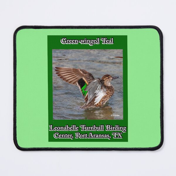 Item preview, Green-winged Teal, Leonabelle Turnbull Birding Center, Port Aransas, Texas designed and sold by MoreEZUSA-Here.