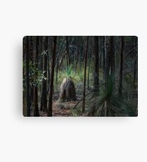 Conimbla Woodlands Leinwanddruck
