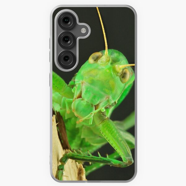 Item preview, Chinese Bush Cricket designed and sold by itchydogimages.