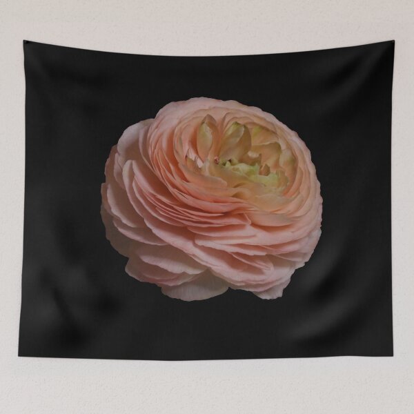 Item preview, Pink Ranunculus Cutout designed and sold by Thomas Bugarin.