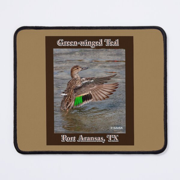 Item preview, Green-winged Teal, Leonabelle Turnbull Birding Center, Port Aransas, Texas designed and sold by MoreEZUSA-Here.