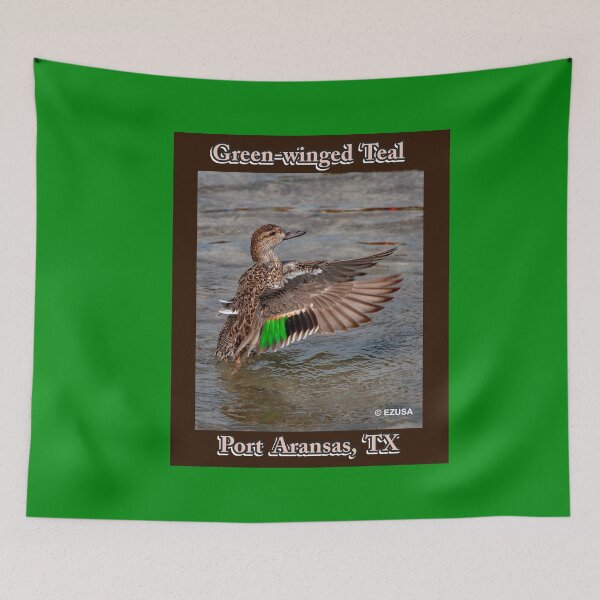 Item preview, Green-winged Teal, Leonabelle Turnbull Birding Center, Port Aransas, Texas designed and sold by MoreEZUSA-Here.