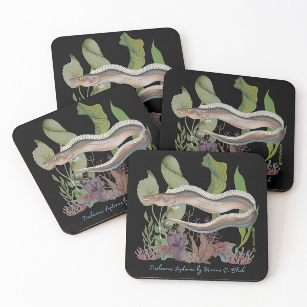 Item preview, Trichiurus Lepturus by Marcus E. Bloch designed and sold by smirey designs.