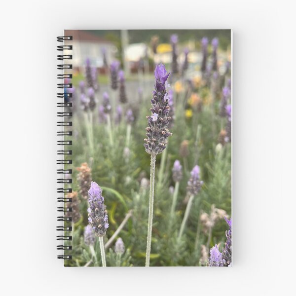 Item preview, Single Lavender in focus designed and sold by SimonCHulse.