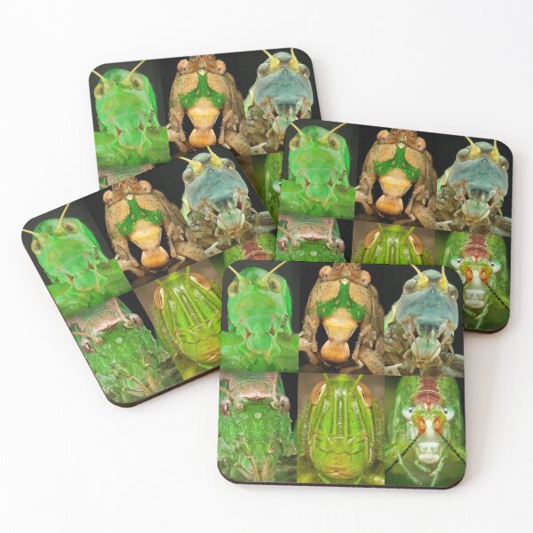 Item preview, Our Orthopteran overlords are always watching, waiting, stridulating... designed and sold by itchydogimages.