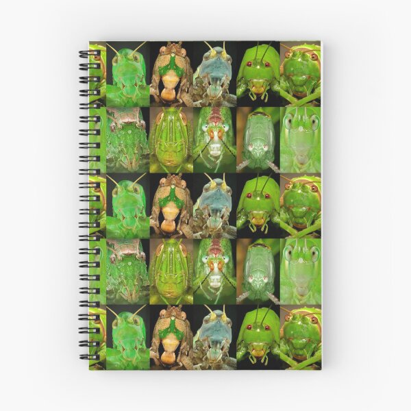 Item preview, Our Orthopteran overlords are always watching, waiting, stridulating... designed and sold by itchydogimages.