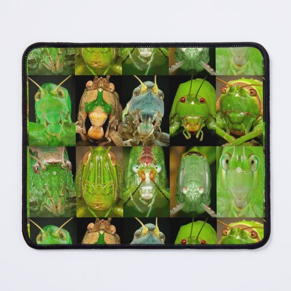 Item preview, Our Orthopteran overlords are always watching, waiting, stridulating... designed and sold by itchydogimages.