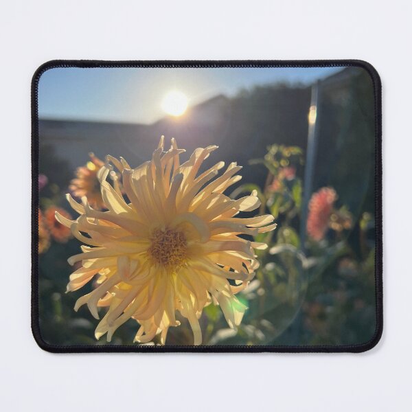 Item preview, Yellow flower at sunset designed and sold by SimonCHulse.