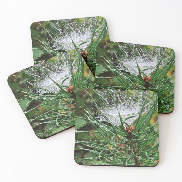 Item preview, SPARKLING WATER DROPLETS ON COBWEB IN PINE TREE (1 of 3) designed and sold by Monica-Stroud.