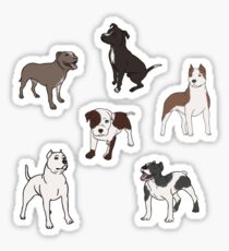 Pit bull party Sticker