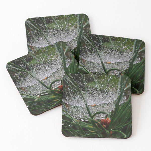 Item preview, WATER DROPLETS ON COBWEB IN PINE TREE (2 OF 3) designed and sold by Monica-Stroud.