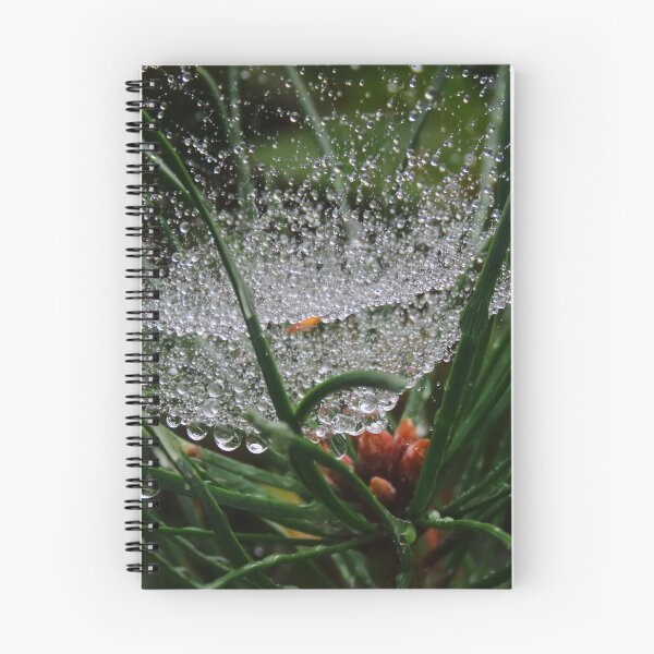 Item preview, WATER DROPLETS ON COBWEB IN PINE TREE (2 OF 3) designed and sold by Monica-Stroud.