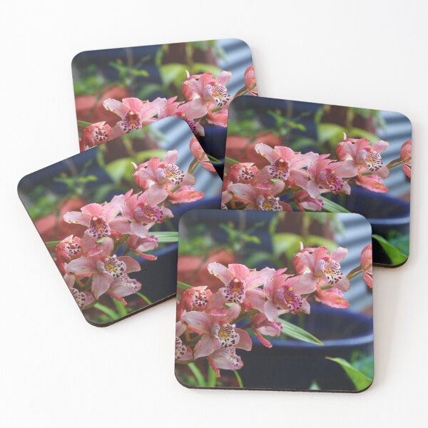 Item preview, Cymbidium orchids  designed and sold by KiwiImages.
