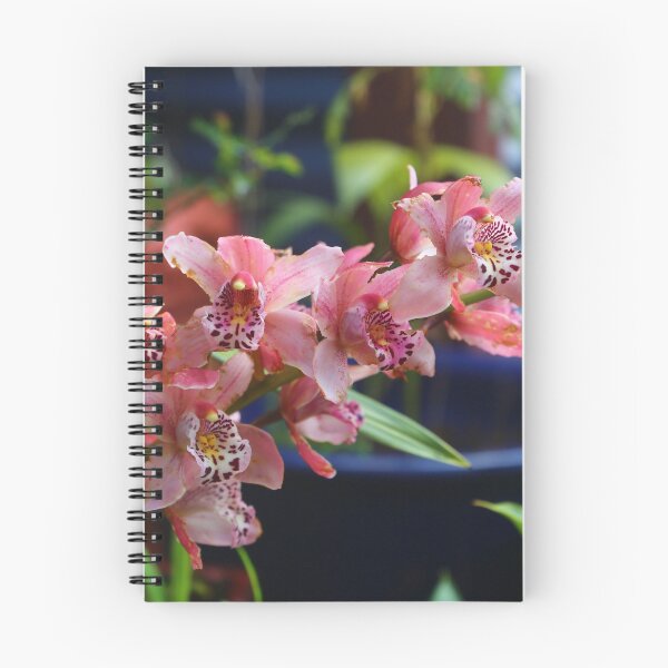 Item preview, Cymbidium orchids  designed and sold by KiwiImages.