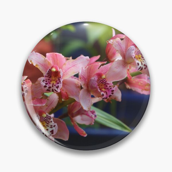 Item preview, Cymbidium orchids  designed and sold by KiwiImages.