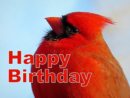 “Red Cardinal - Happy Birthday Card” Photographic Print by jgevans