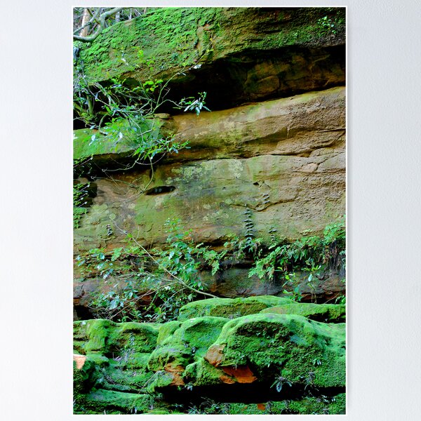 Item preview, Ferny Grotto - Somersby Falls NSW designed and sold by Bev Woodman.