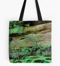 Ferny Grotto - Somersby Falls NSW Tote Bag