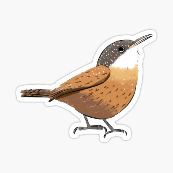 Item preview, Canyon wren designed and sold by girlinwhiteglasses.