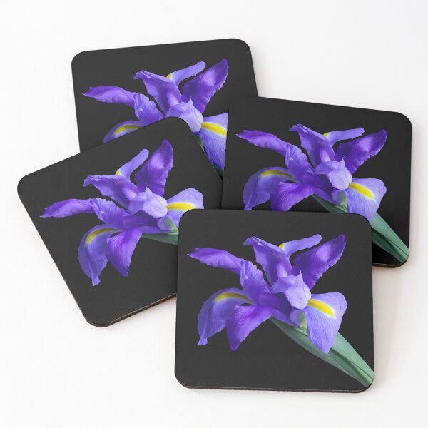 Item preview, Recorte de iris morado designed and sold by Thomas Bugarin.