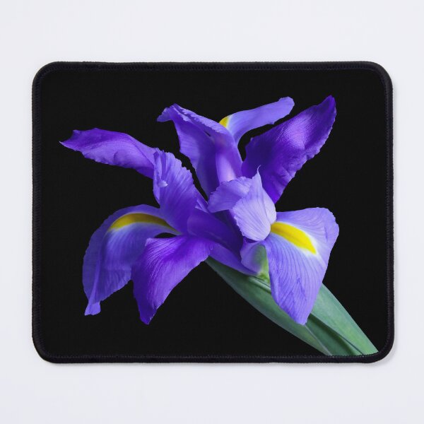 Item preview, Purple Iris Cutout designed and sold by Thomas Bugarin.