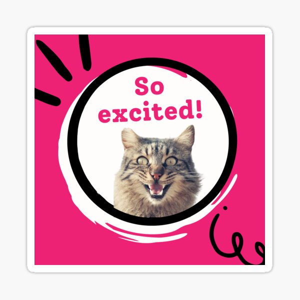 Scaredy Cat Teaser  Happy #InternationalCatDay! We are excited to