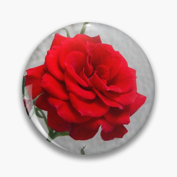 Item preview, Ruby Red Rose designed and sold by heatherfriedman.