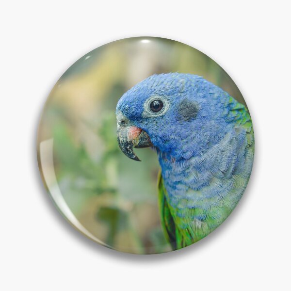 Item preview, Blue-headed Parrot designed and sold by TaguArtsy.