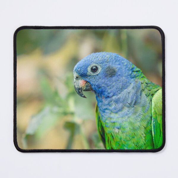 Item preview, Blue-headed Parrot designed and sold by TaguArtsy.