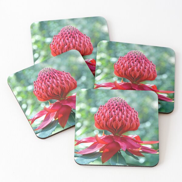 Item preview, The Mighty Waratah designed and sold by Cloudlingpics.