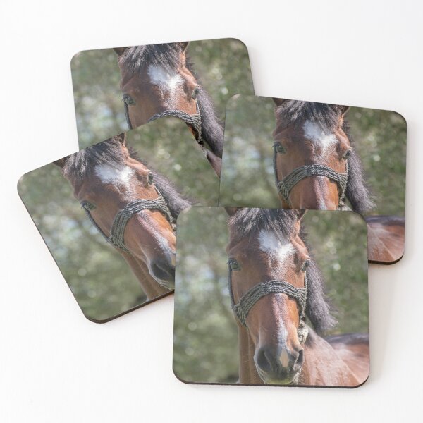 Item preview, pexels-john-kostopoulos designed and sold by NeilLeuschke.