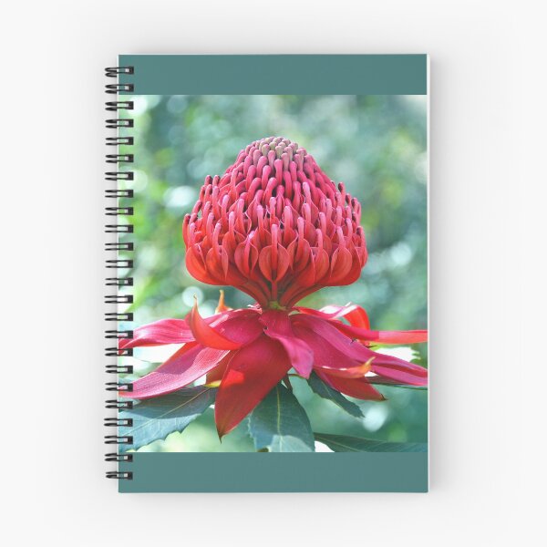Item preview, The Mighty Waratah designed and sold by Cloudlingpics.