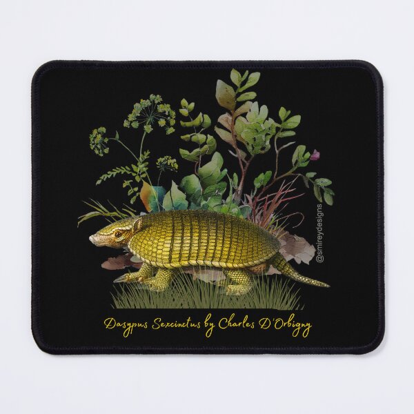 Item preview, Dasypus Sexcinctus by Charles D'Orbigny designed and sold by smirey designs.