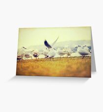 Friends Greeting Card