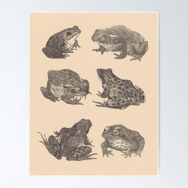 Item preview, Naturalist Frogs designed and sold by BlueSpecsStudio.