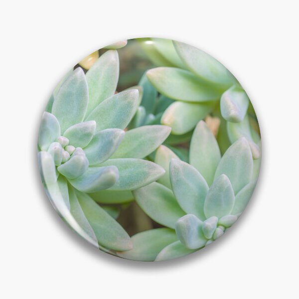 Item preview, Nurtured Elegance designed and sold by assaf.
