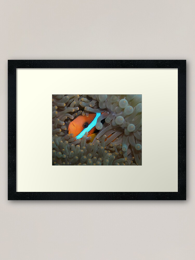 Alternate view of Haven Framed Art Print