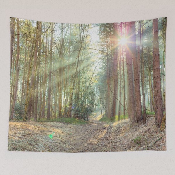 Item preview, Magical Glow in the Forest designed and sold by assaf.