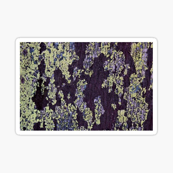Item preview, lichen designed and sold by KathleenDawson.