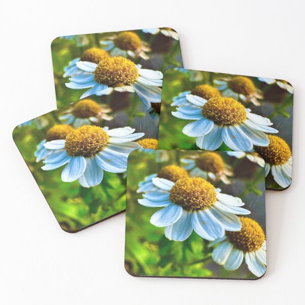 Item preview, Summer daisies  designed and sold by WynnFairbairn.