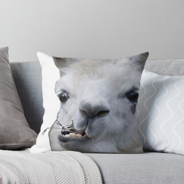 Item preview, llama designed and sold by noahthedoughnut.