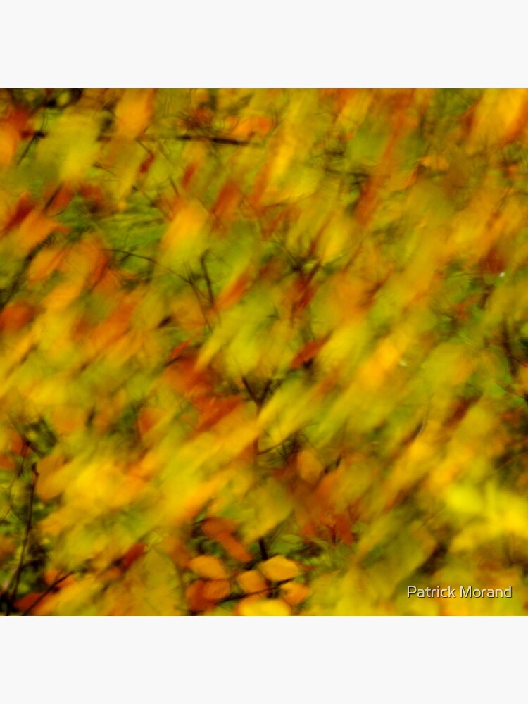 Autumn colors blown by the wind by patmo