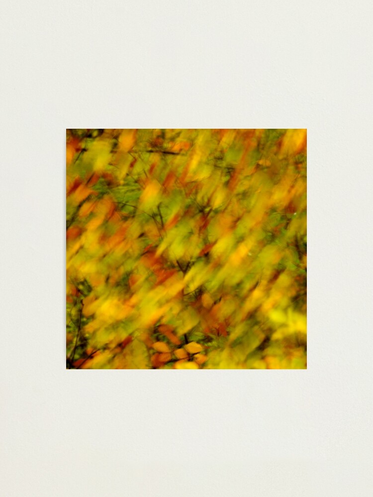 Alternate view of Autumn colors blown by the wind Photographic Print