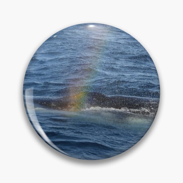 Item preview, Whale rainbow designed and sold by Mark Grimsley.