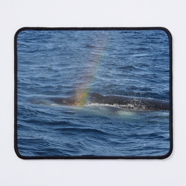 Item preview, Whale rainbow designed and sold by Mark Grimsley.