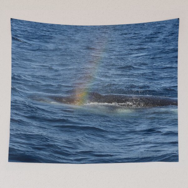 Item preview, Whale rainbow designed and sold by Mark Grimsley.