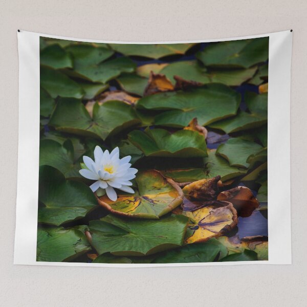 Artikelvorschau, Lake Lilly entworfen und verkauft von Amy Louhela.