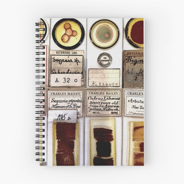 Item preview, Science Just Looks Cool designed and sold by TheFiveFive.