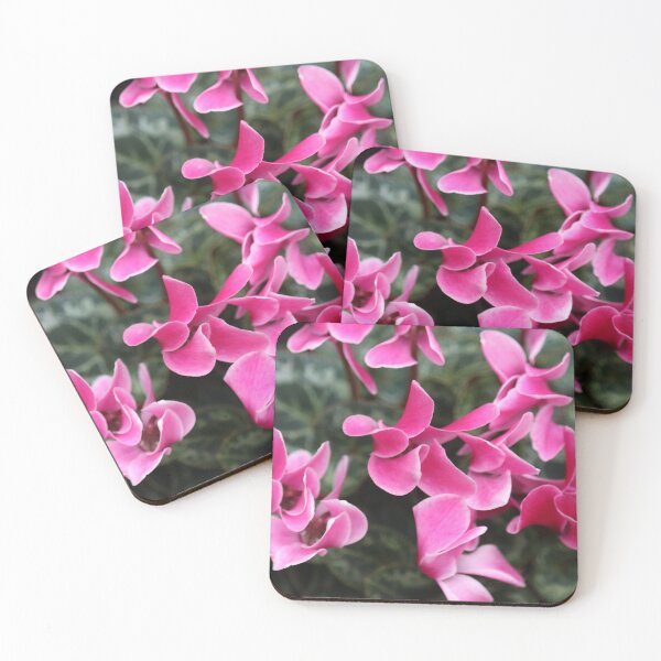 Item preview, Cyclamen Persicum  designed and sold by Bird22Shot.